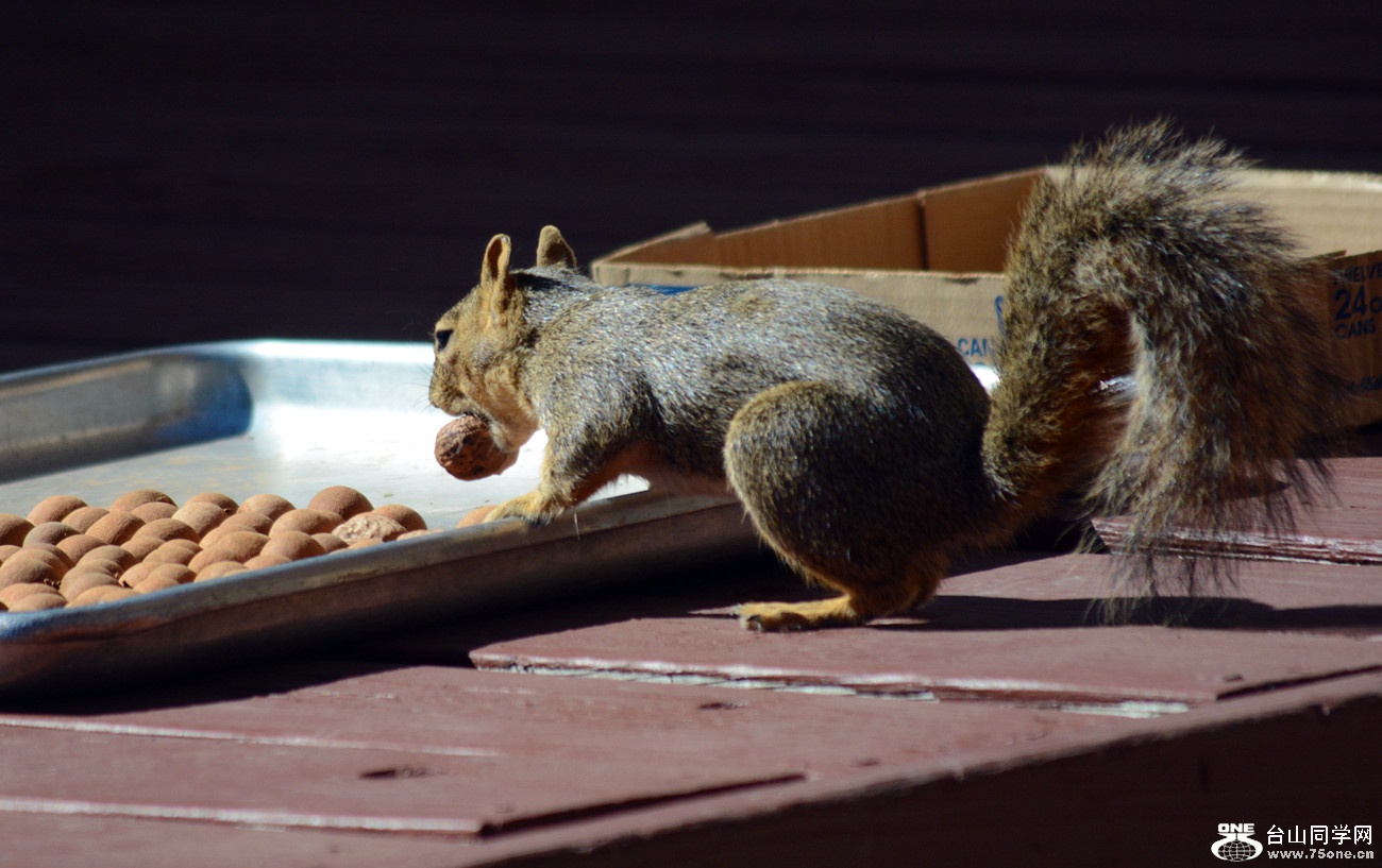 DSC_0108_50.jpg