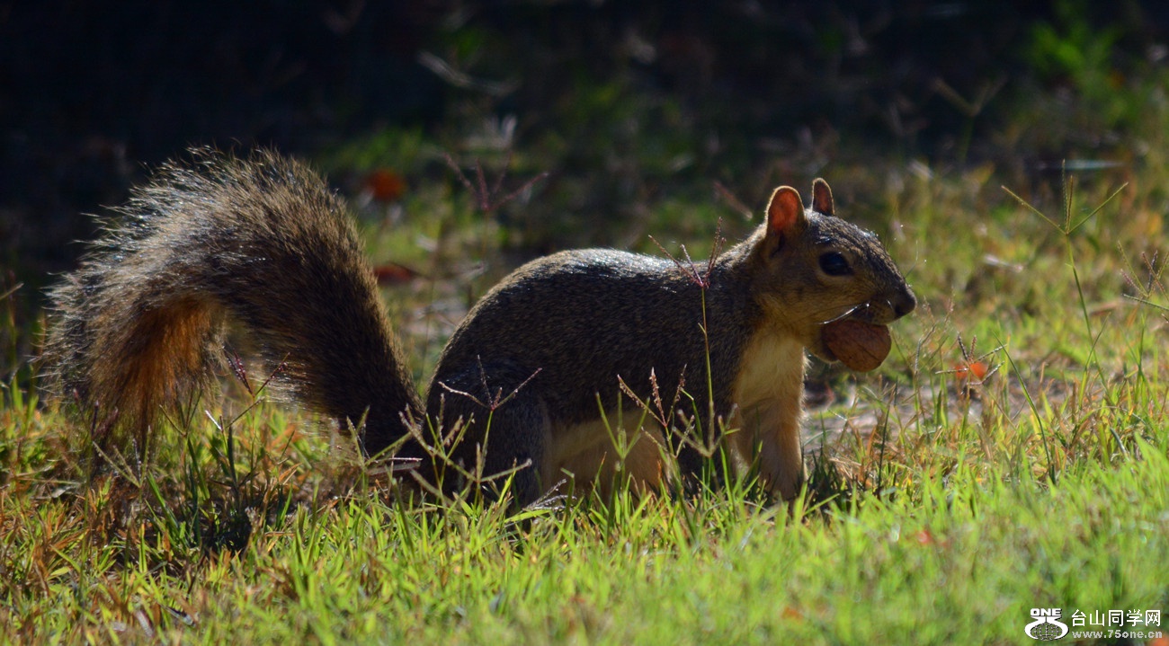 DSC_0203_29.jpg