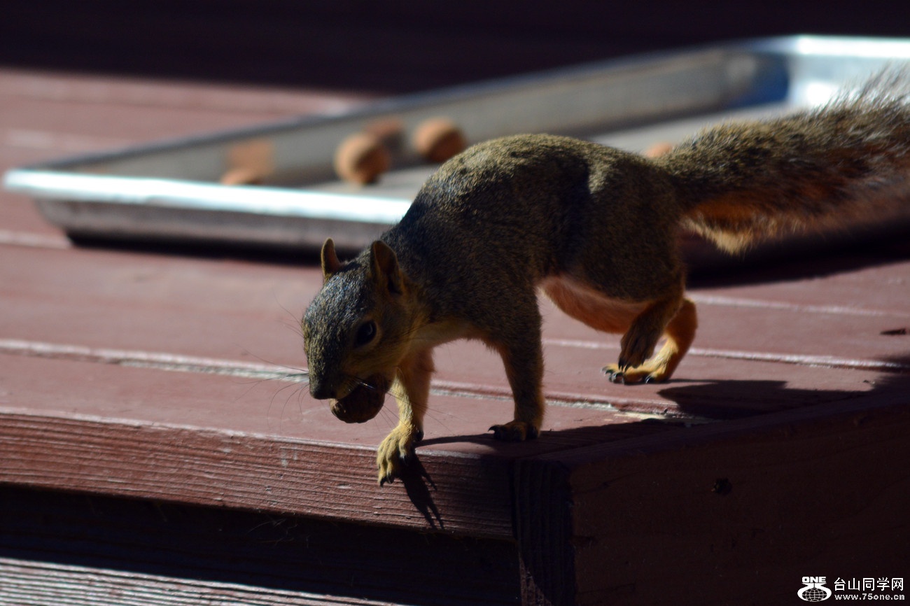 DSC_0122_45.jpg