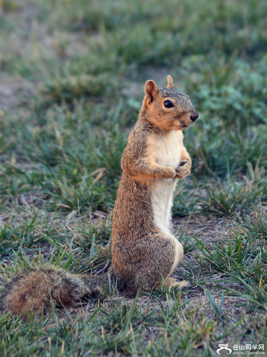 DSC_0235_63.jpg