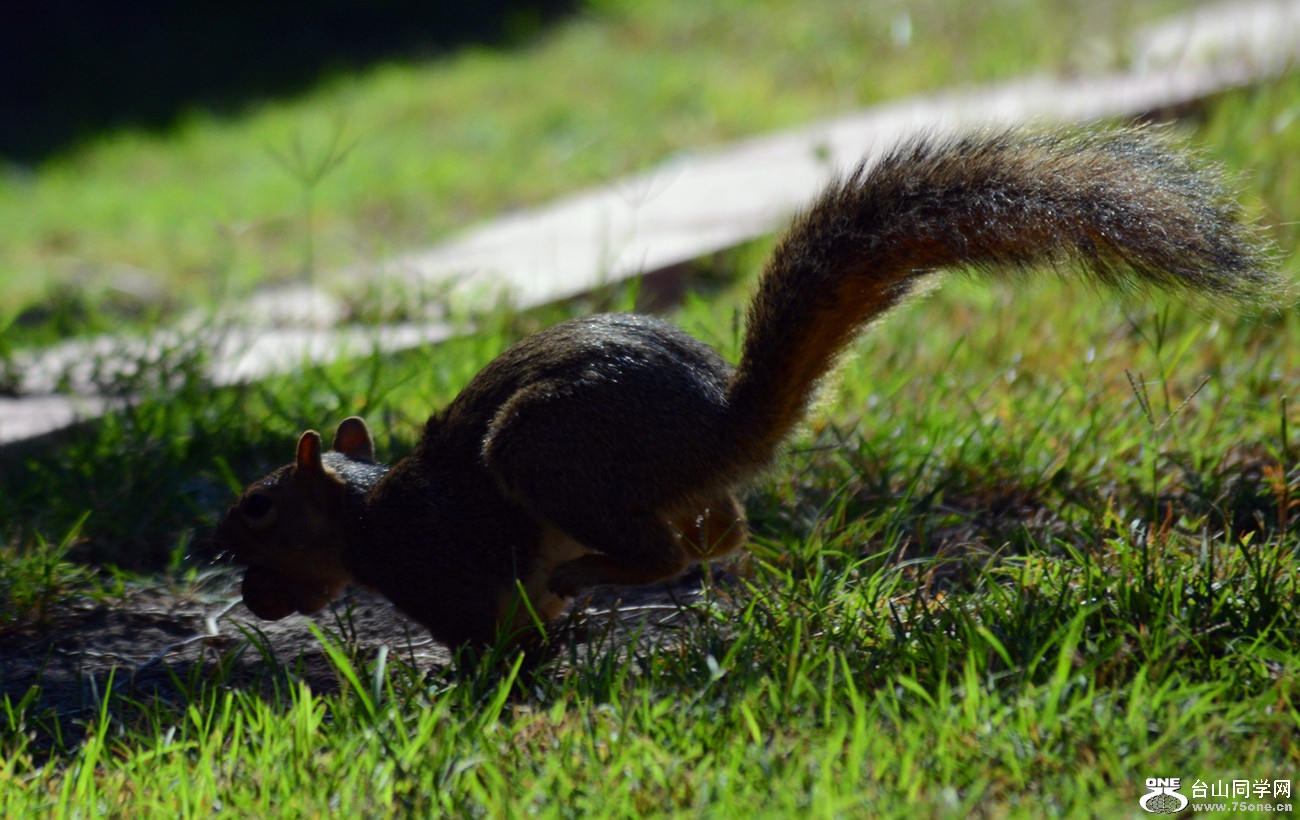 DSC_0142_37.jpg