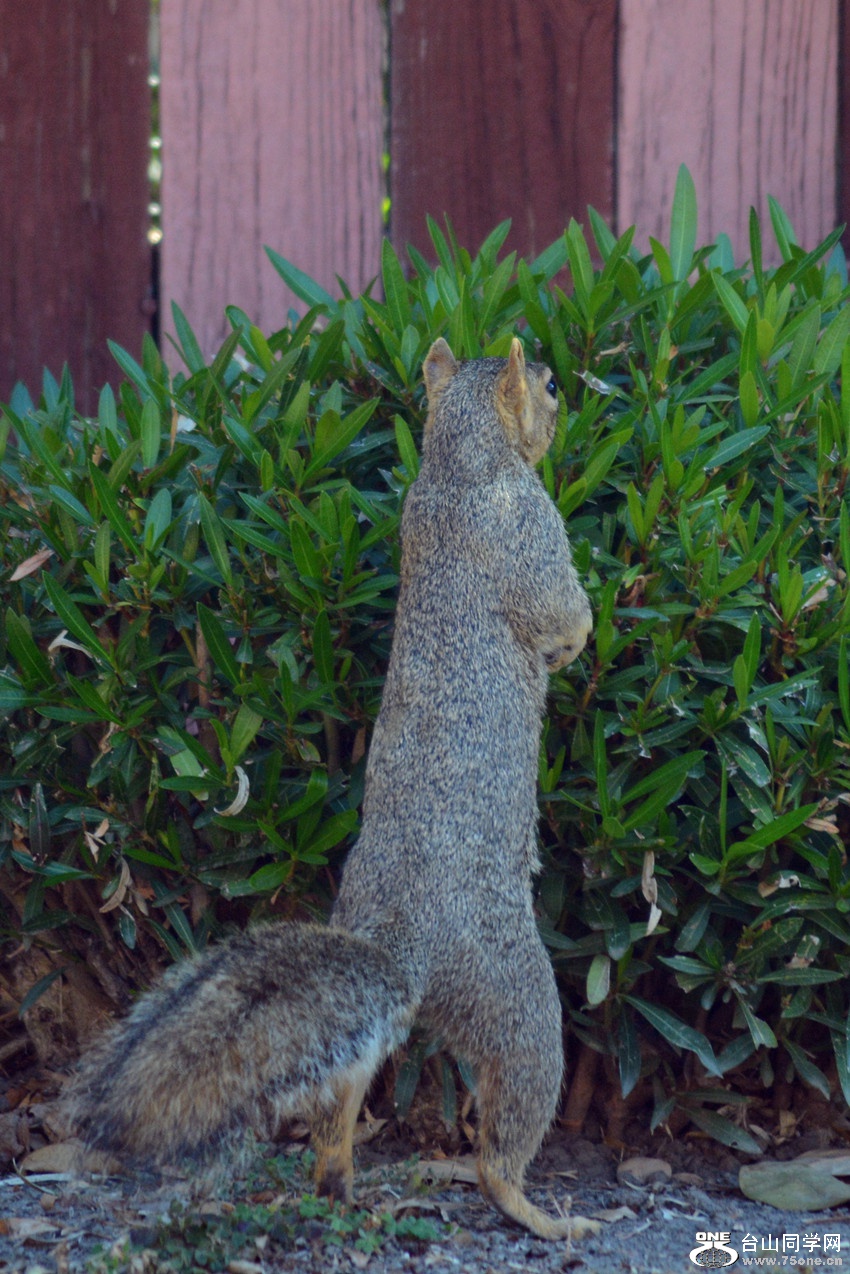DSC_9977_10.jpg