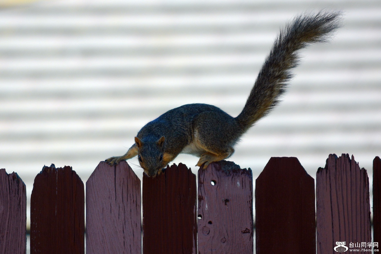 DSC_9844_23.jpg