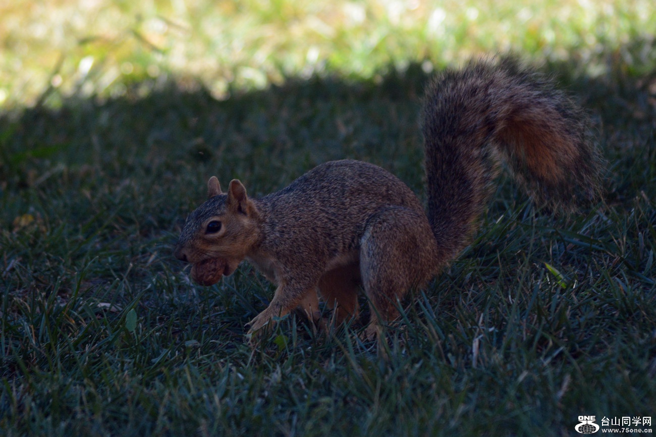 DSC_0124_43.jpg