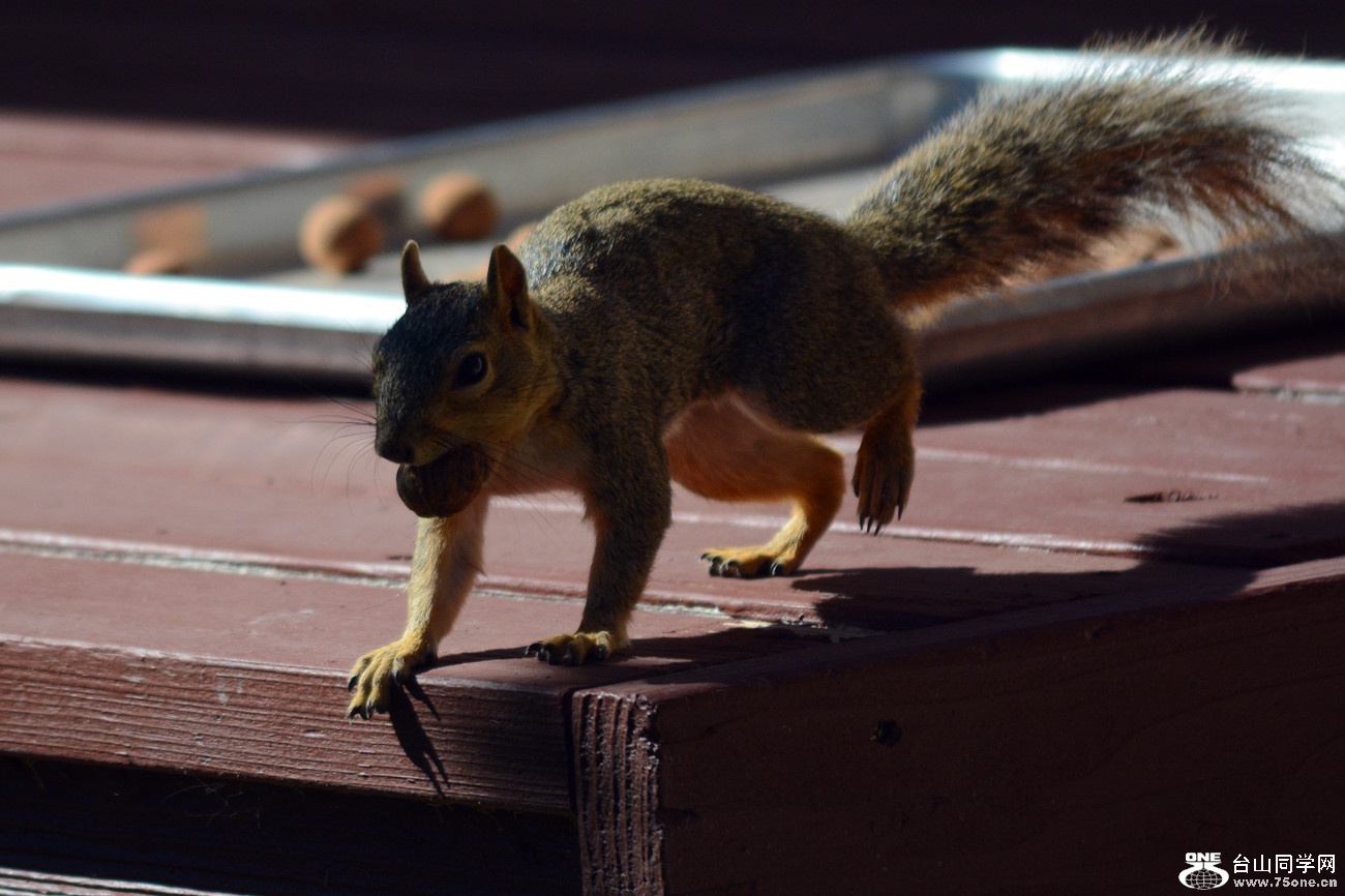 DSC_0121_45.jpg