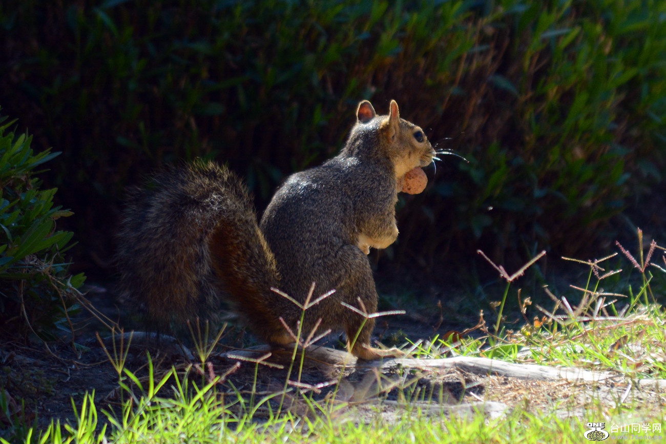 DSC_0163_35.jpg