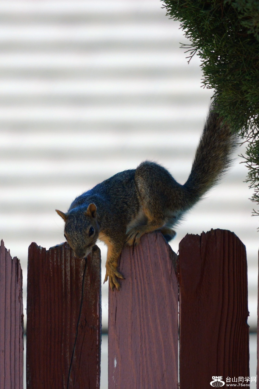 DSC_9820_25.jpg