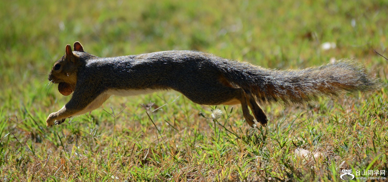 DSC_0136_39.jpg