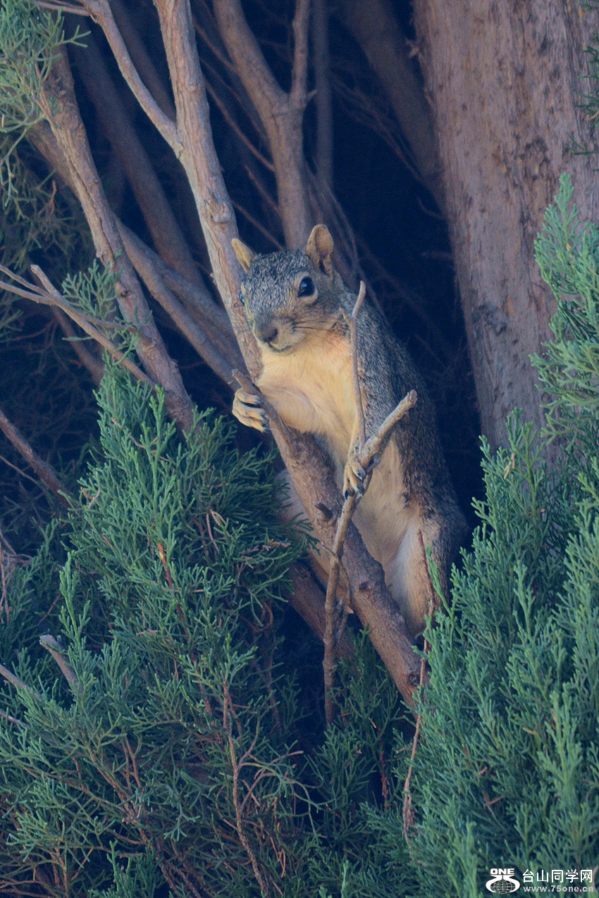 DSC_0023_5.jpg