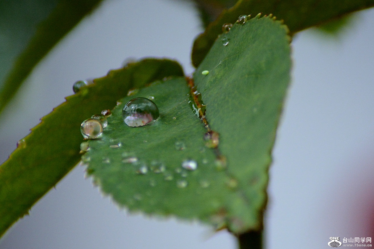 DSC_9802_2.jpg