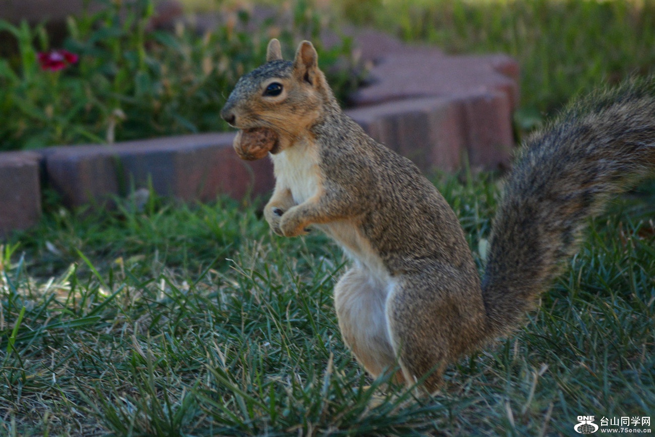 DSC_0130_41.jpg