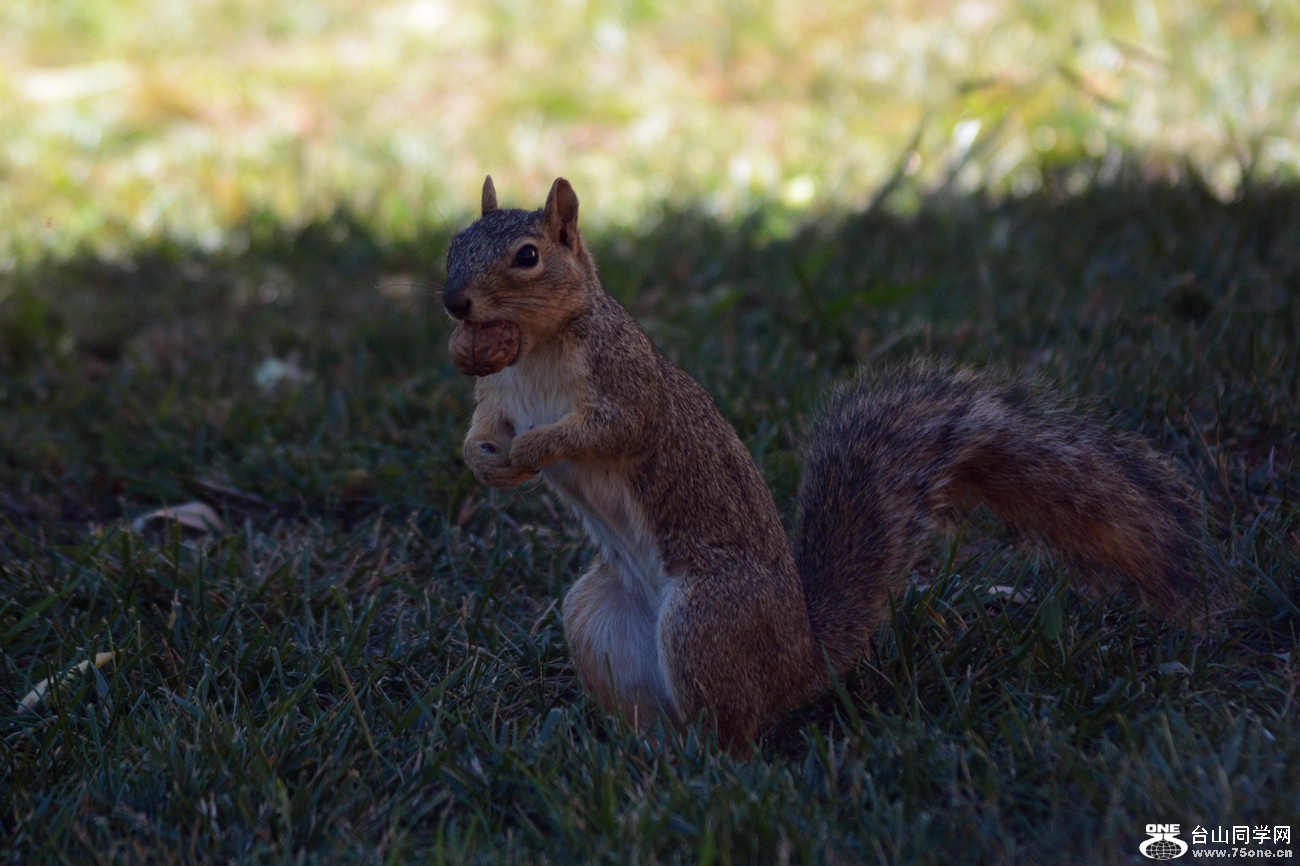 DSC_0127_42.jpg