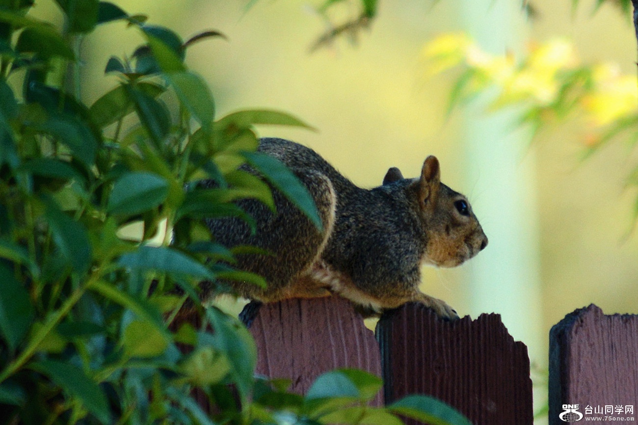 DSC_0036_2.jpg