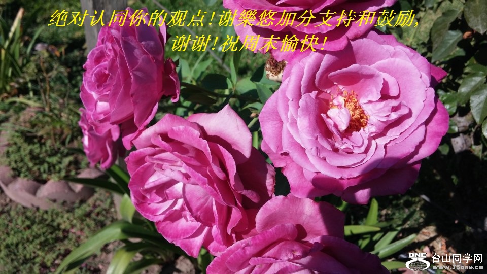 ͬĹ۵!лƼӷֺ֧͹,лл!ףĩ!.jpg
