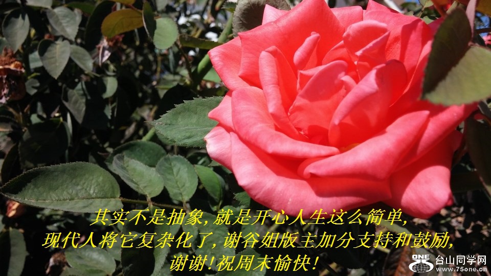 ʵǳ,ǿô,ִ˽ӻ,лȽӷֺ֧͹,лл!ףĩ!.jpg