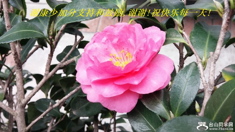 лټӷֺ֧͹,лл!ףÿһ!.jpg