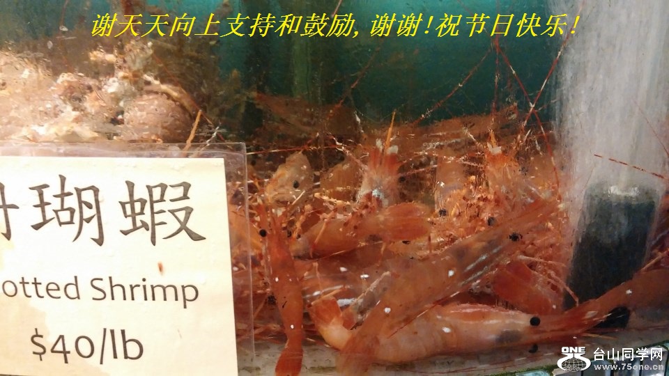谢天天向上支持和鼓励,谢谢!祝节日快乐!.jpg