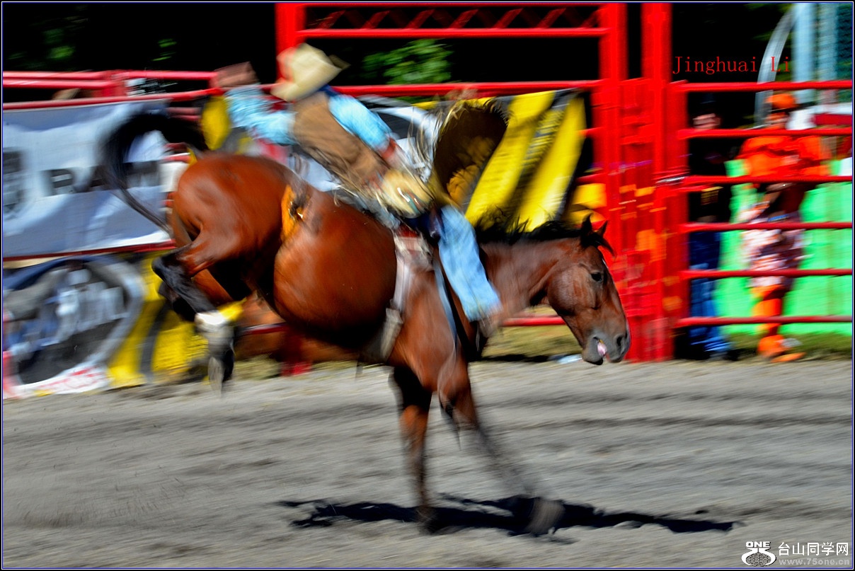 DSC_2947_.jpg