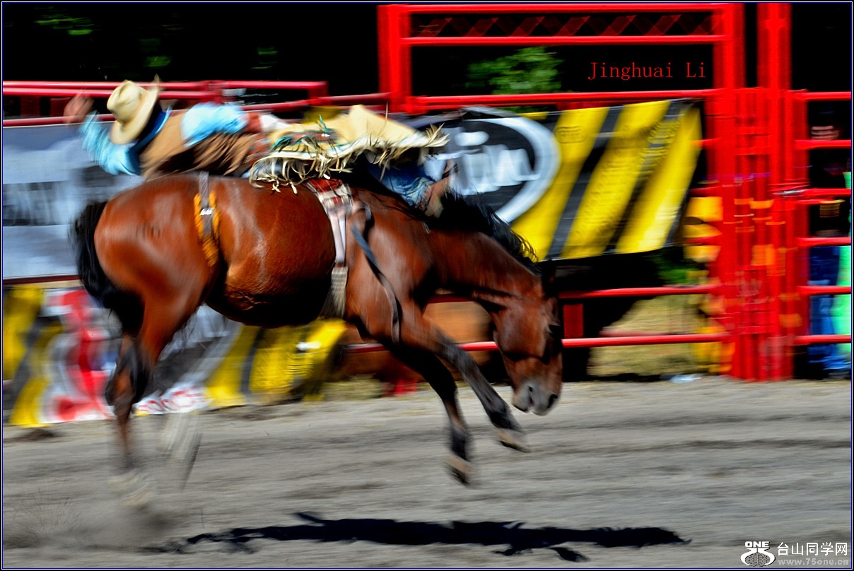 DSC_2946_.jpg