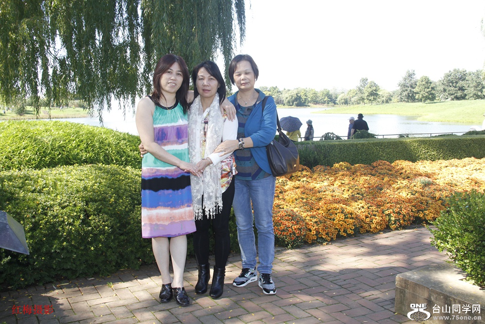 _MG_1217.jpg