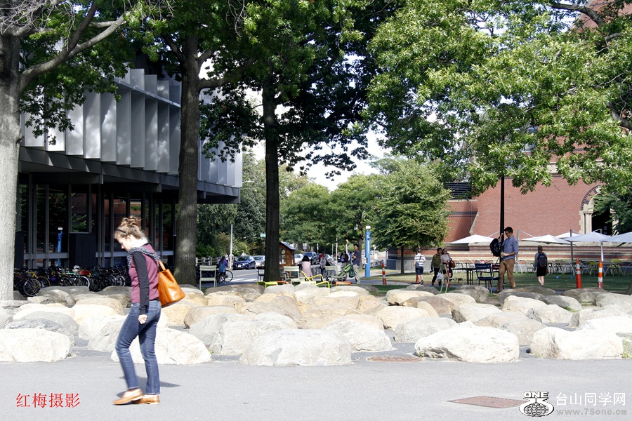 _MG_1010.jpg