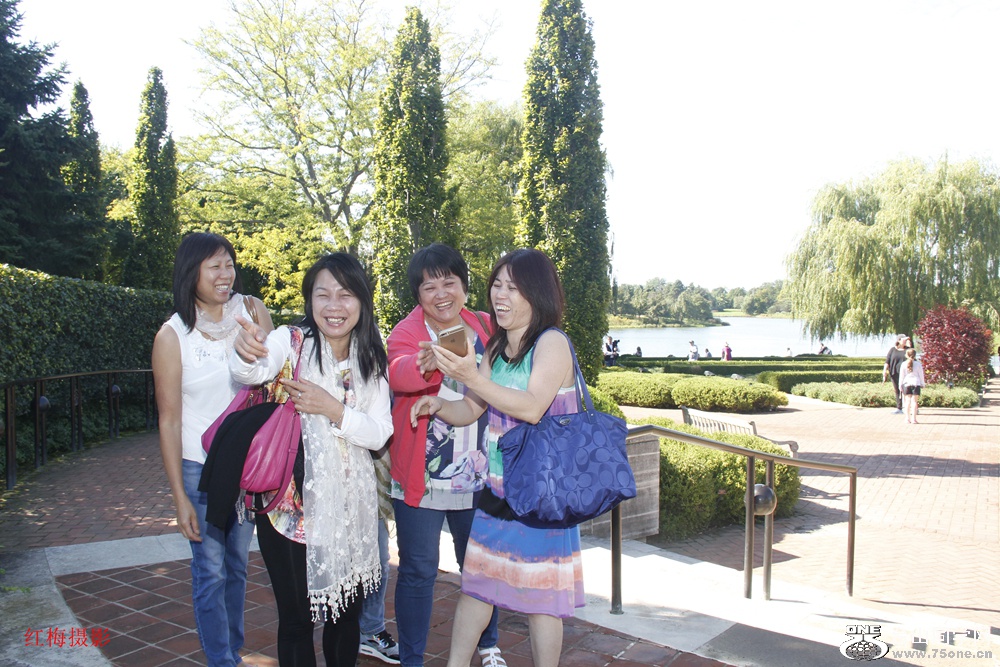 _MG_1265.jpg