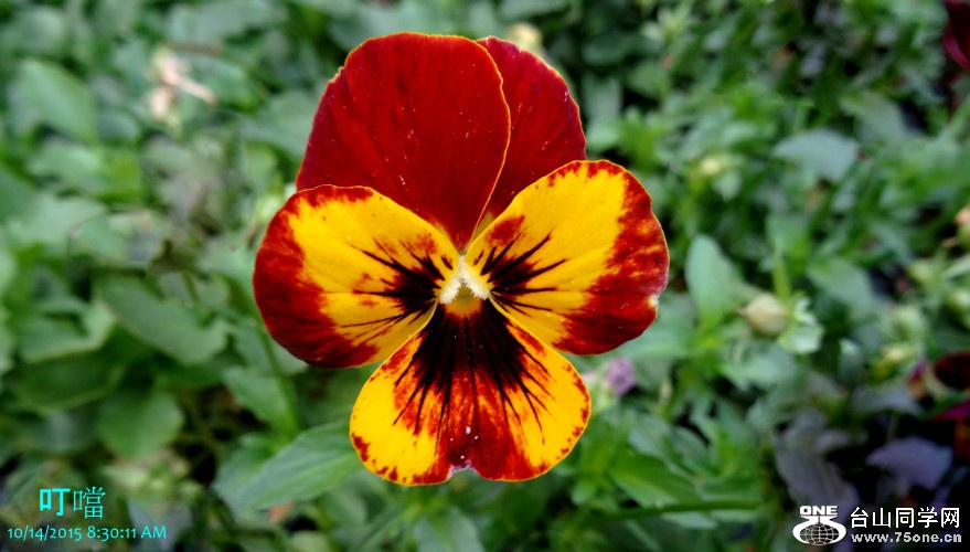 DSC09535_1.JPG
