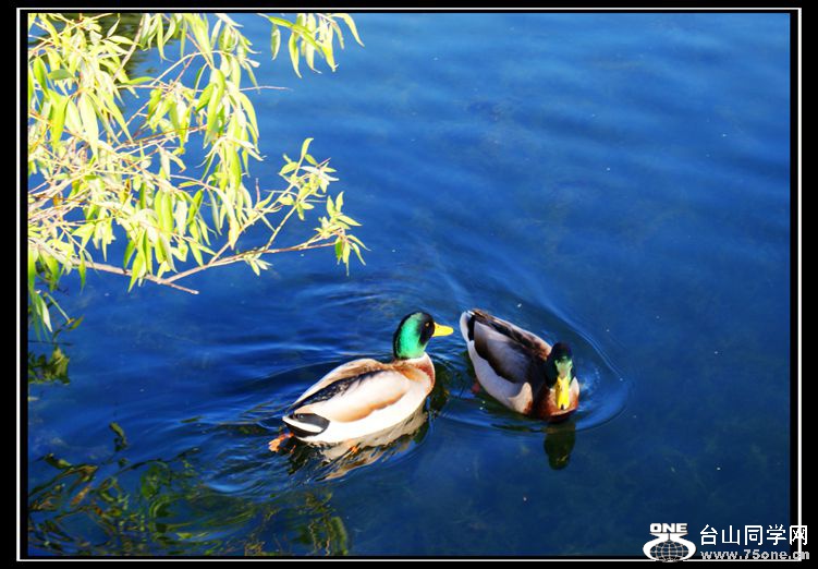 DSC09888_.jpg