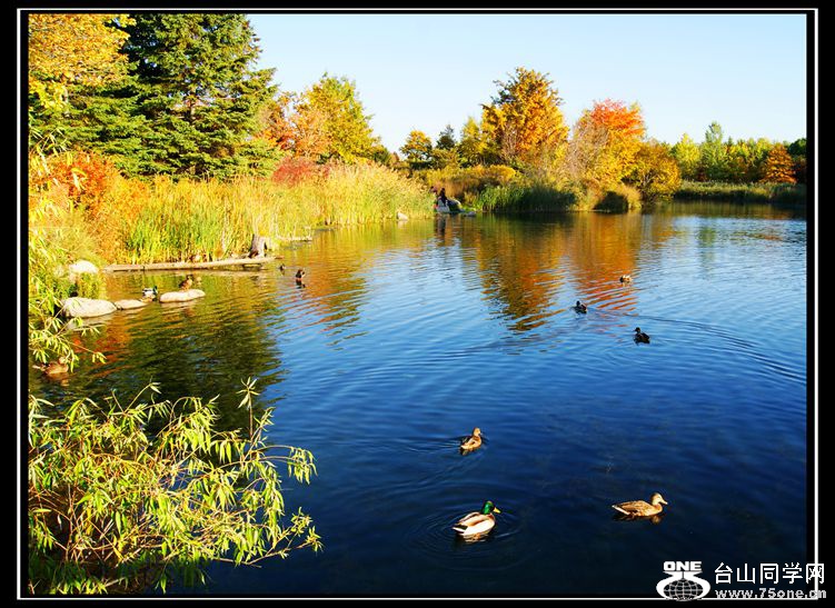 DSC09889_.jpg