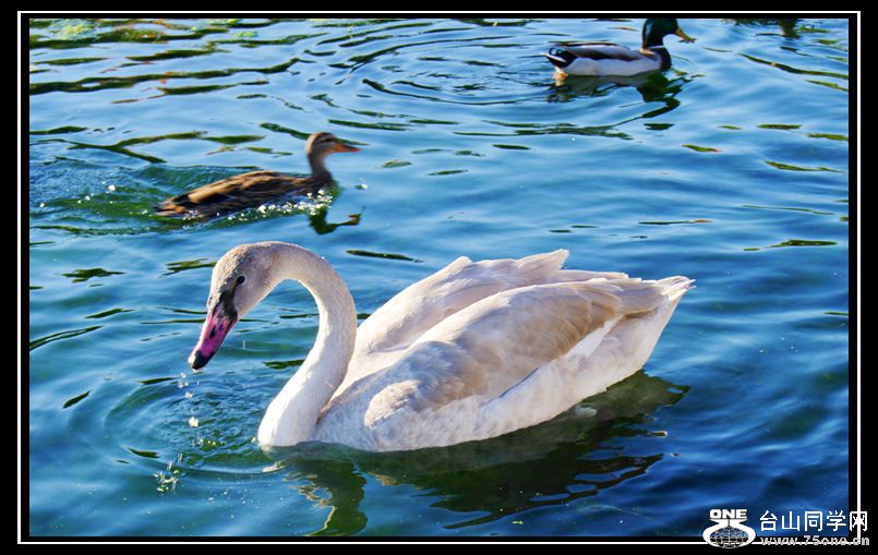 DSC09879_.jpg
