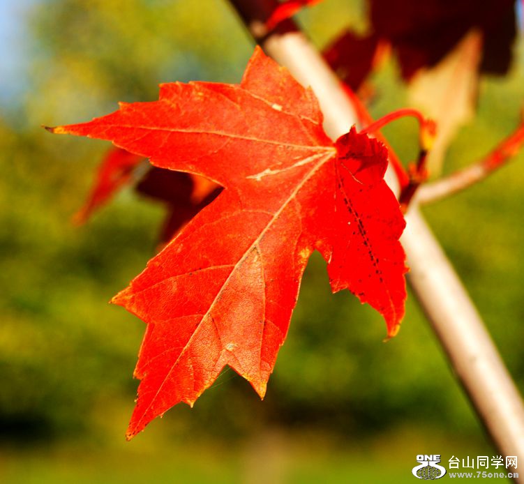 DSC09934_.jpg