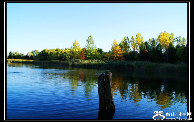 DSC09914_.jpg