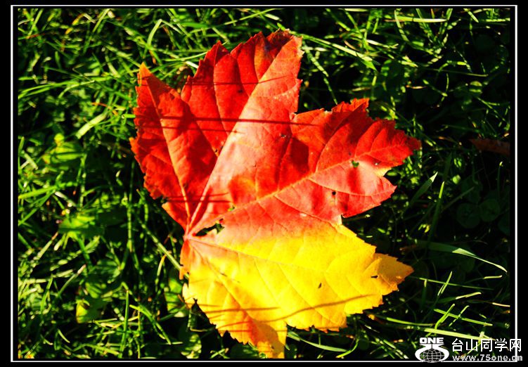 DSC09936_.jpg