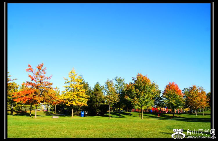 DSC09905_.jpg
