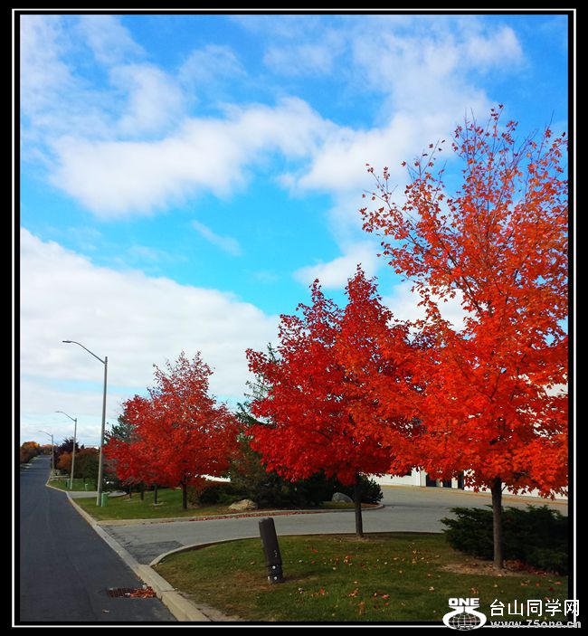 20151018_115439_.jpg