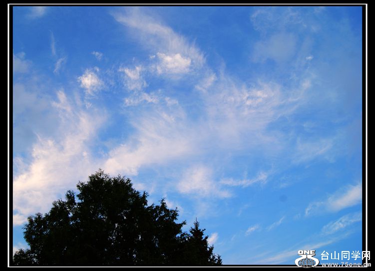 DSC00012_.jpg