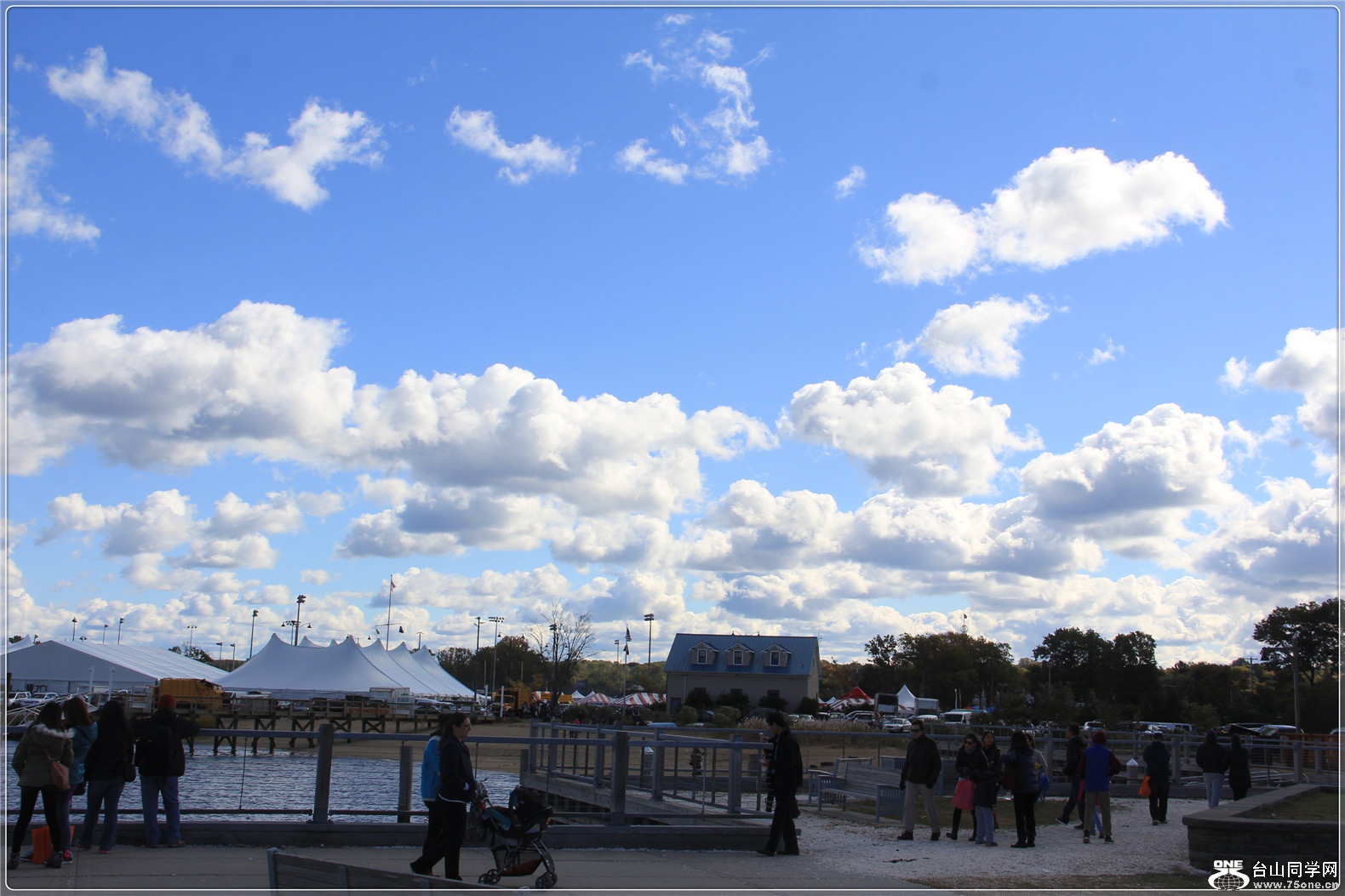 IMG_5225.jpg