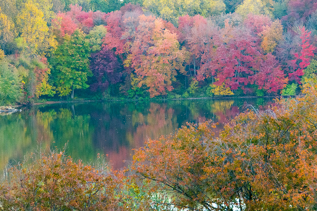 DSC_8597.jpg