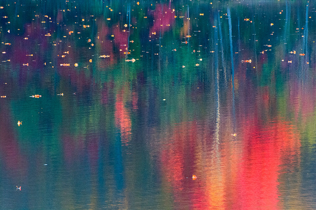 DSC_8639.jpg