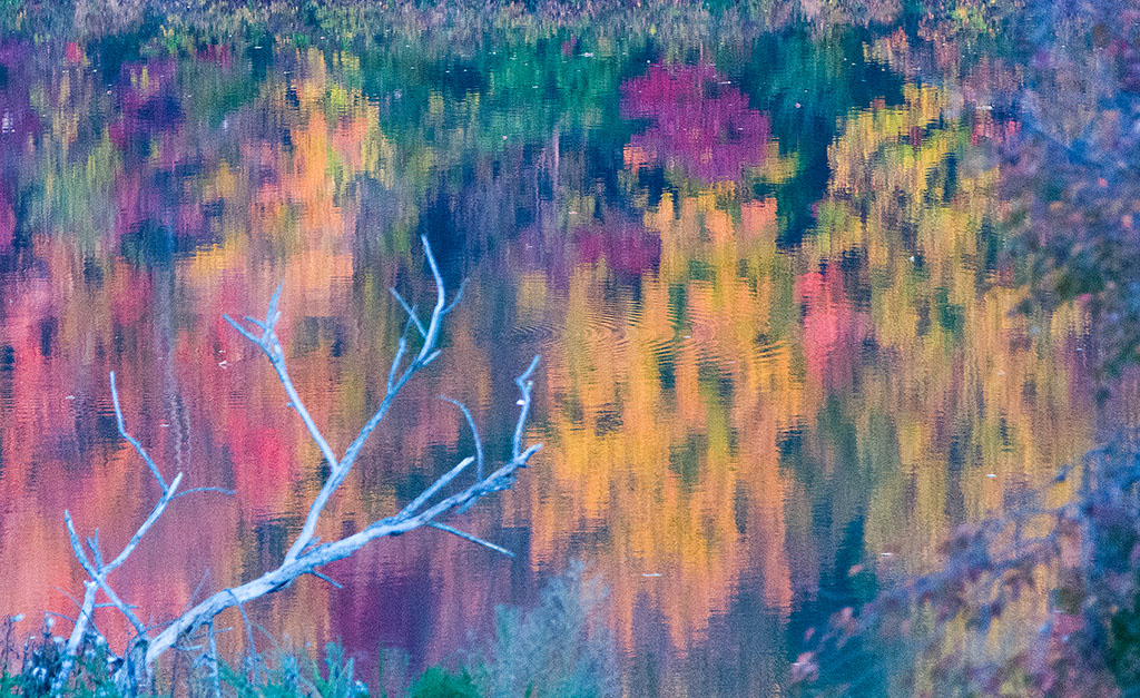 DSC_8601.jpg