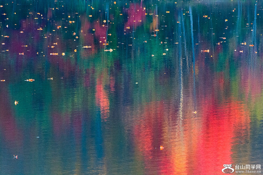 DSC_8639.jpg