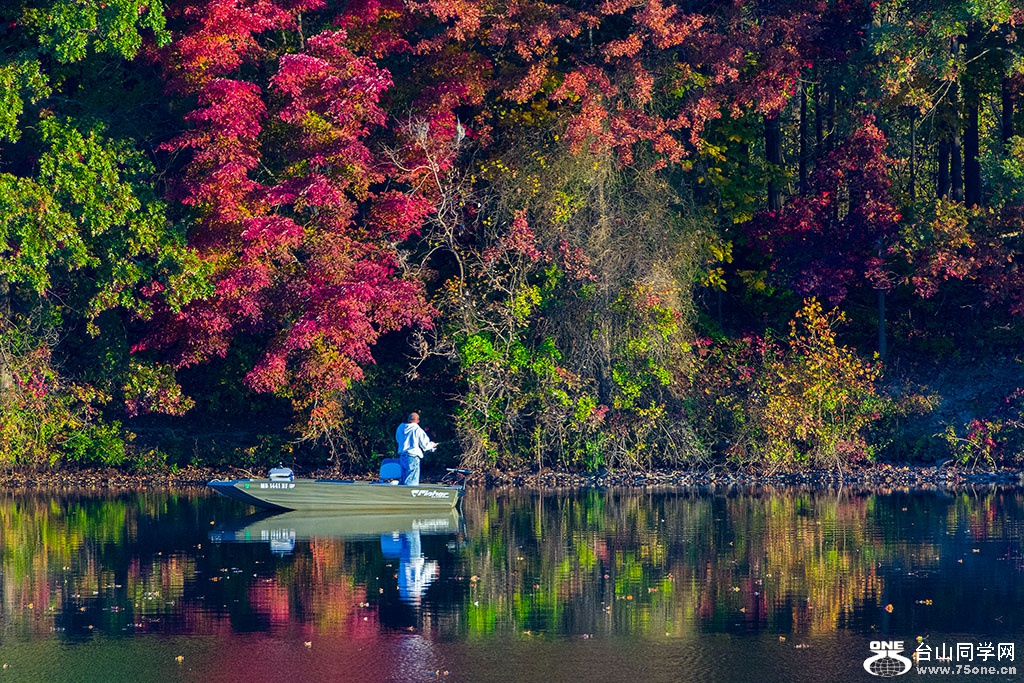 DSC_8650.jpg