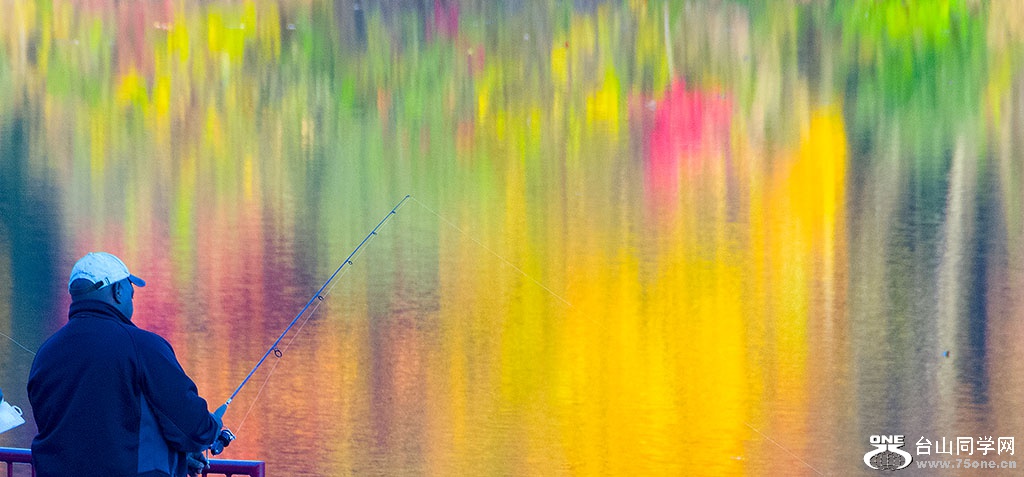 DSC_8652.jpg