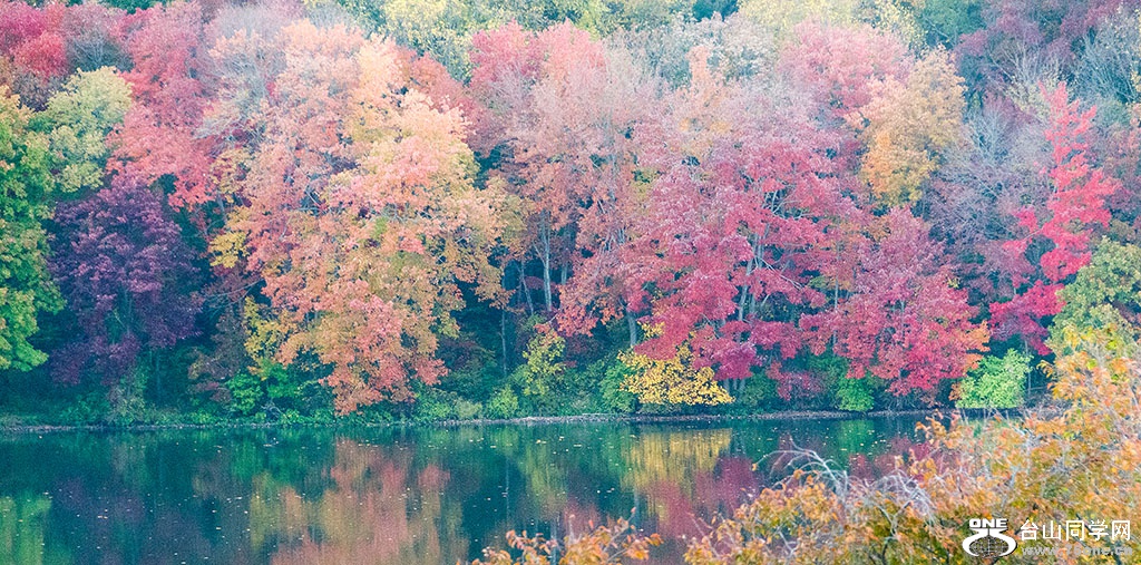 DSC_8598.jpg