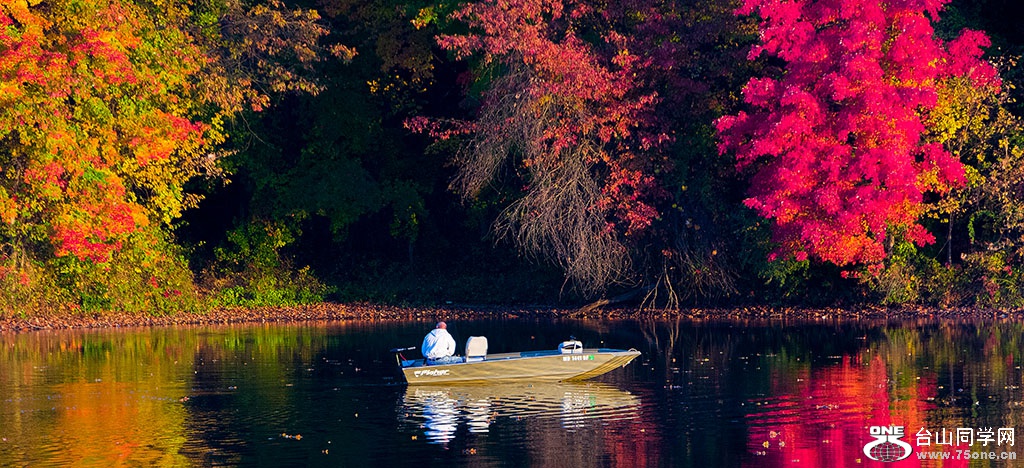 DSC_8628.jpg