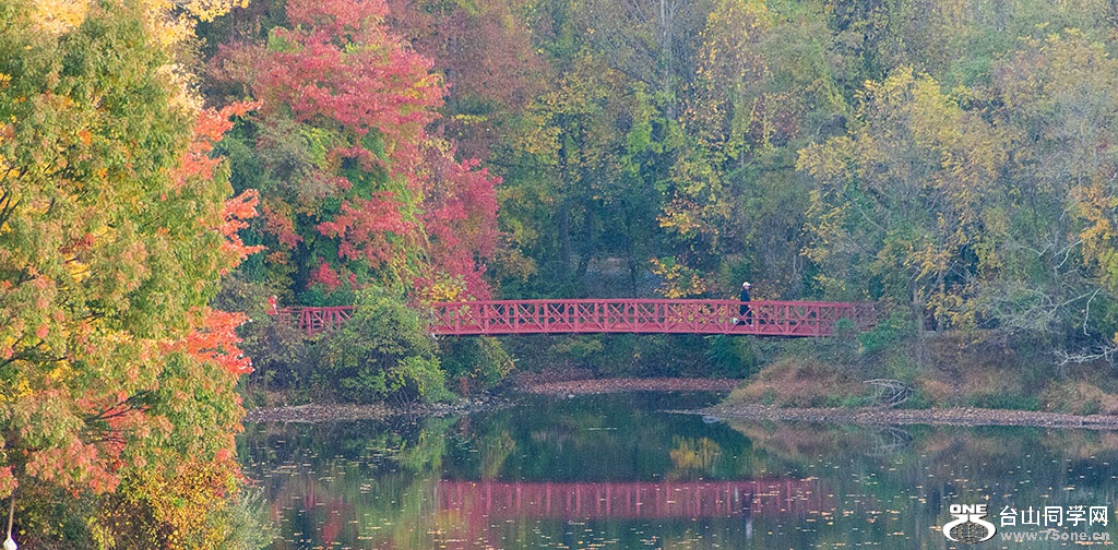 DSC_8595.jpg