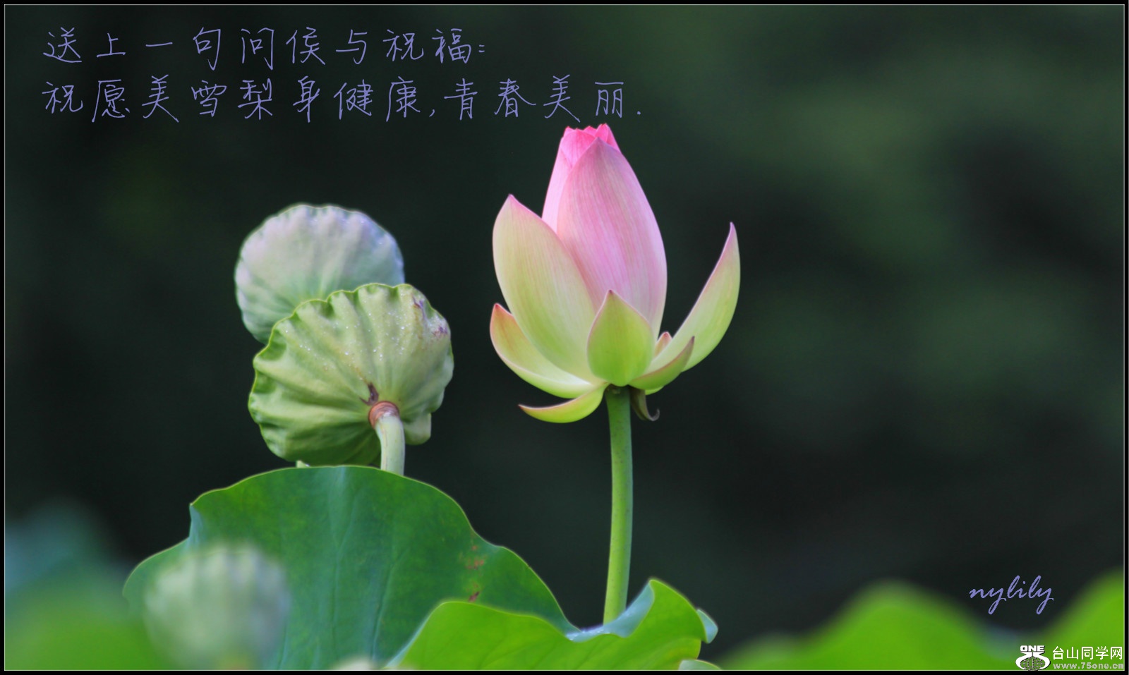 IMG_8795_meitu_2.jpg