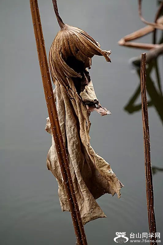 psb (25).jpg