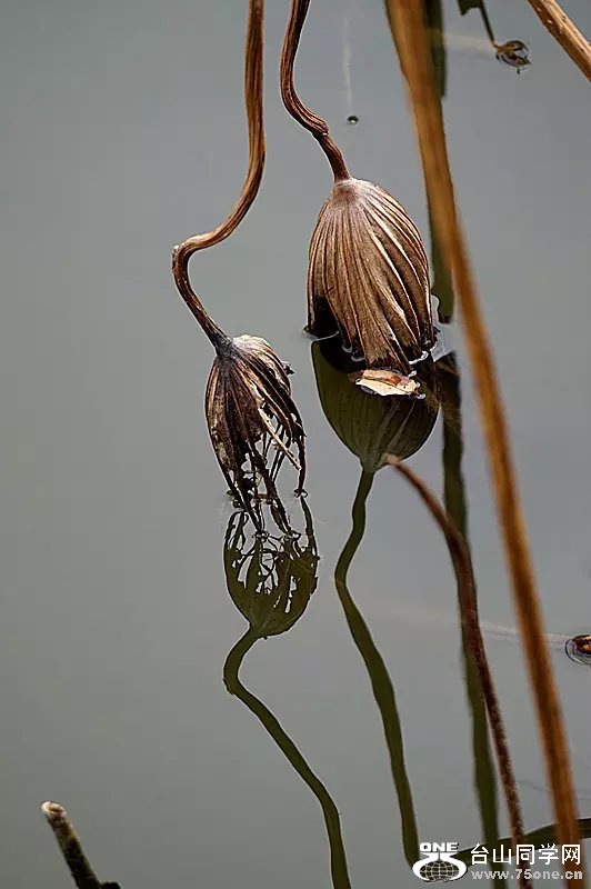 psb (17).jpg