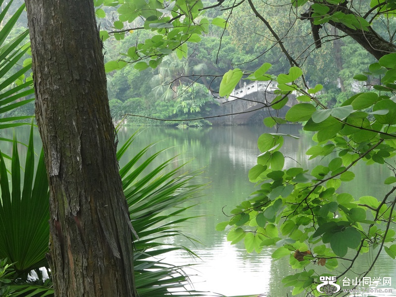 DSC03901_.jpg